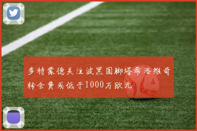 多特蒙德关注波黑国脚塔希洛维奇转会费或低于1000万欧元