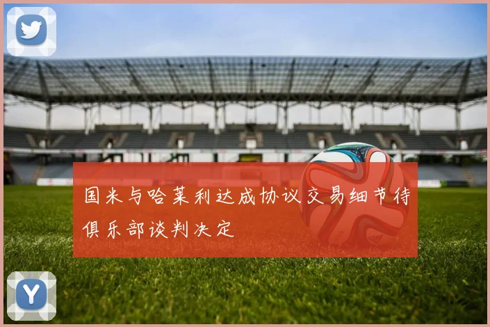 国米与哈莱利达成协议交易细节待俱乐部谈判决定