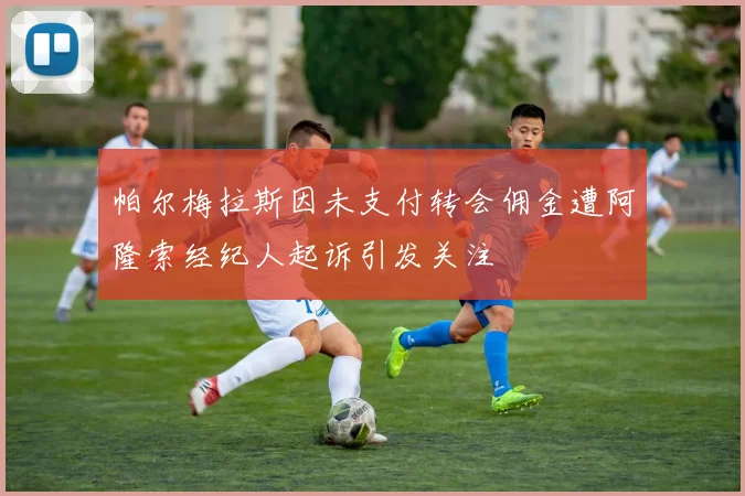 帕尔梅拉斯因未支付转会佣金遭阿隆索经纪人起诉引发关注